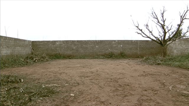Antes: Quintal vira paisagismo